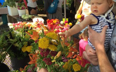Engaging the Senses at the Farmers Market