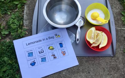 Lemonade in a Bag