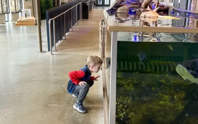 45 Budget Friendly Things to do This Spring Break in Columbus